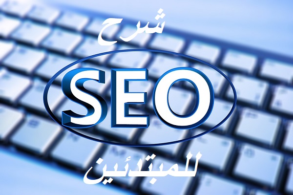 شرح seo للمبتدئين