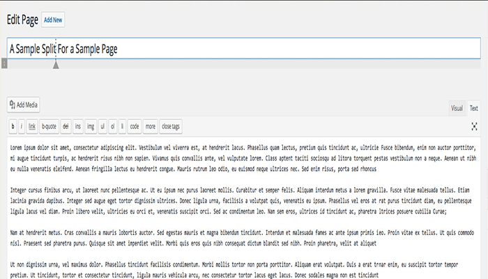 أفضل 15+ اضافات تايبوجرافي ووردبريس لتحسين تصميمك 4 Page Title Splitter