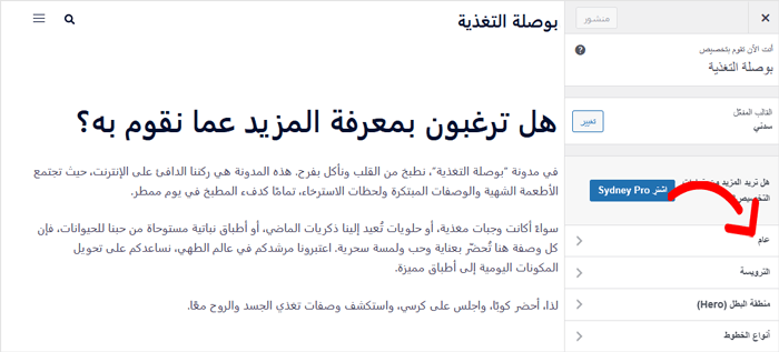 كيفية إضافة صورة خلفية في ووردبريس (6 طرق سهلة) 2 انتقل إلى الإعدادات العامة في Sydney